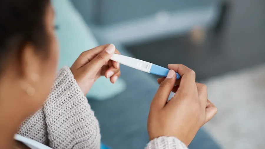 hcv rapid test